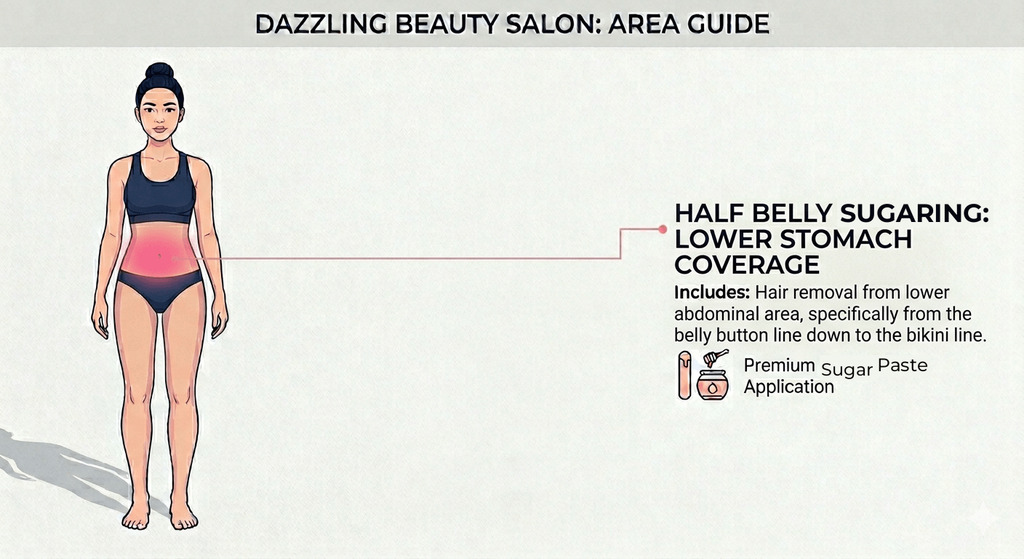 Professional vector illustration of a female figure from a front perspective, highlighting the lower stomach and abdominal (half belly) region in pink gradient to define the service area at Dazzling Beauty Salon.