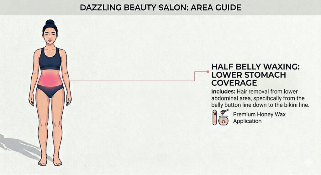 Half Belly Waxing 1 Professional vector illustration of a female figure from a front perspective, highlighting the lower stomach and abdominal (half belly) region in pink gradient to define the service area at Dazzling Beauty Salon.